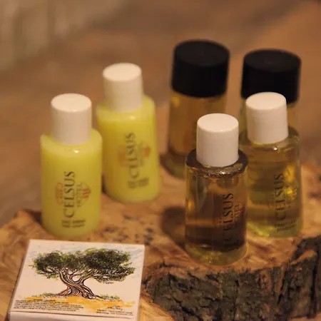 Hotel Celsus Boutique