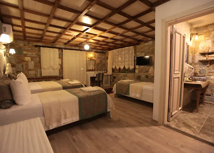 سيلسوس البوتيكي فندق