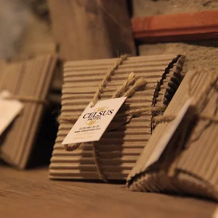 Hotel Celsus Boutique Selcuk